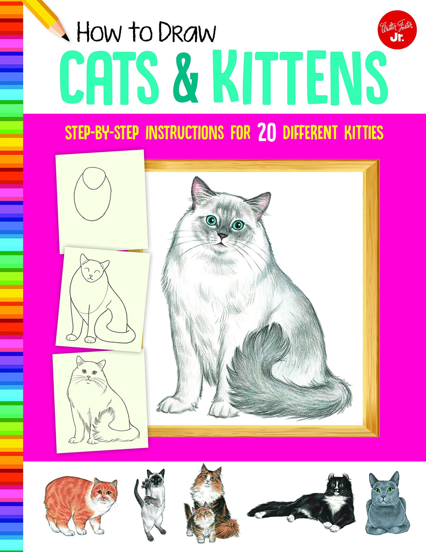 How To Draw Cats & Kittens