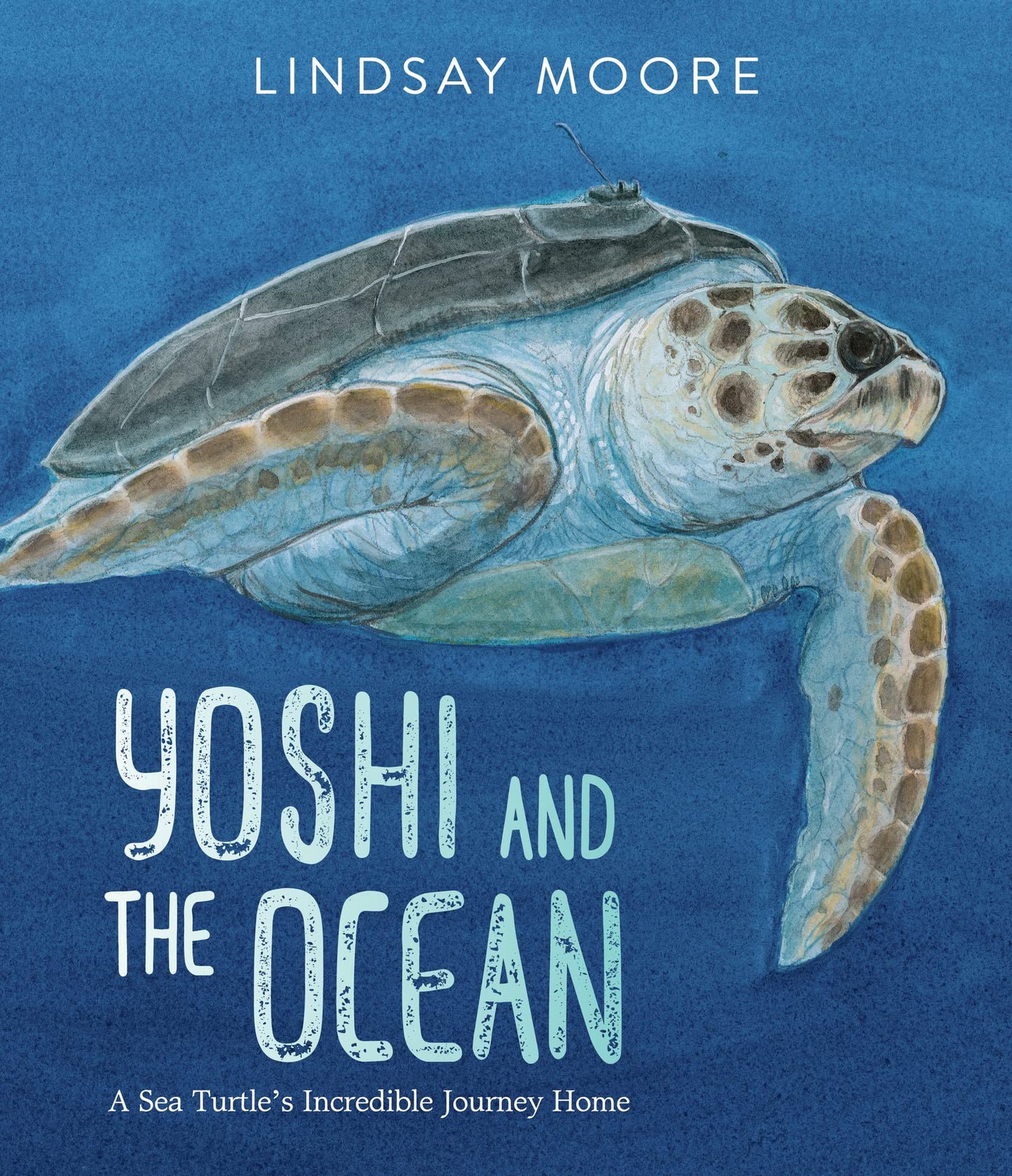Yoshi And The Ocean