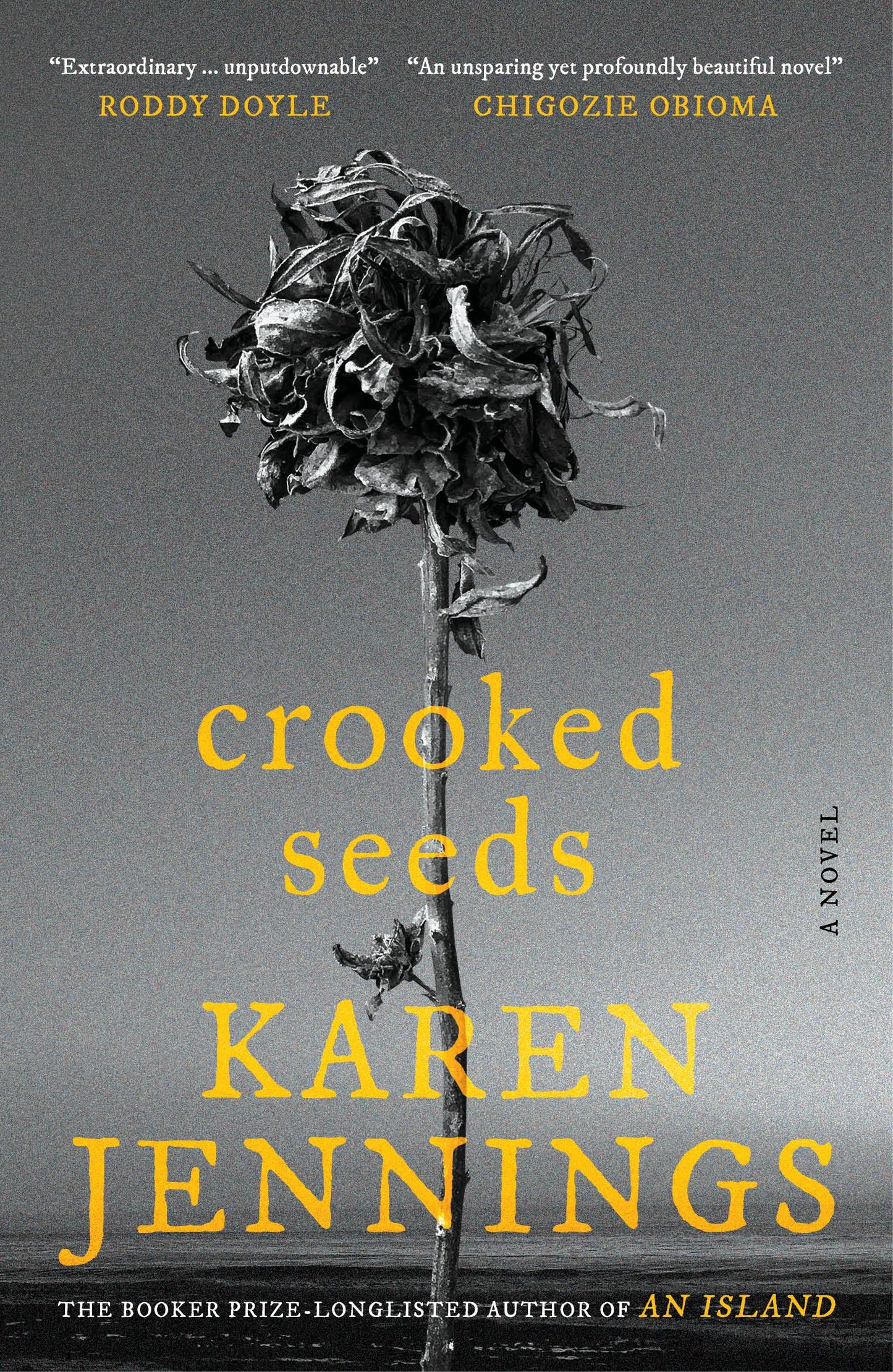 Crooked Seeds