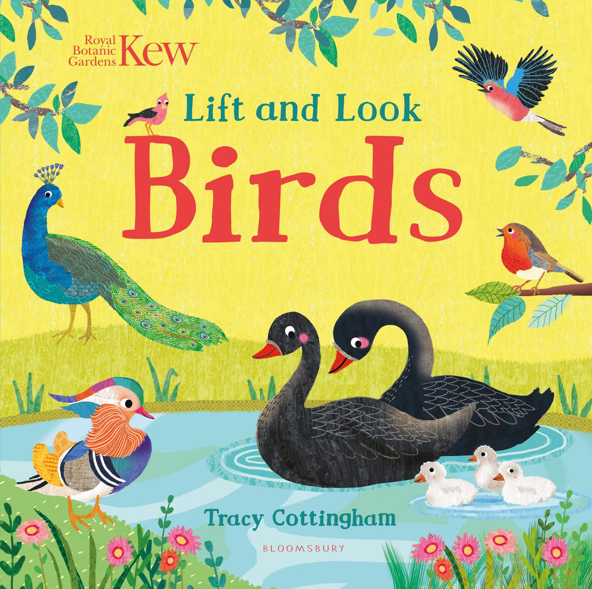 Kew Lift And Look Birds