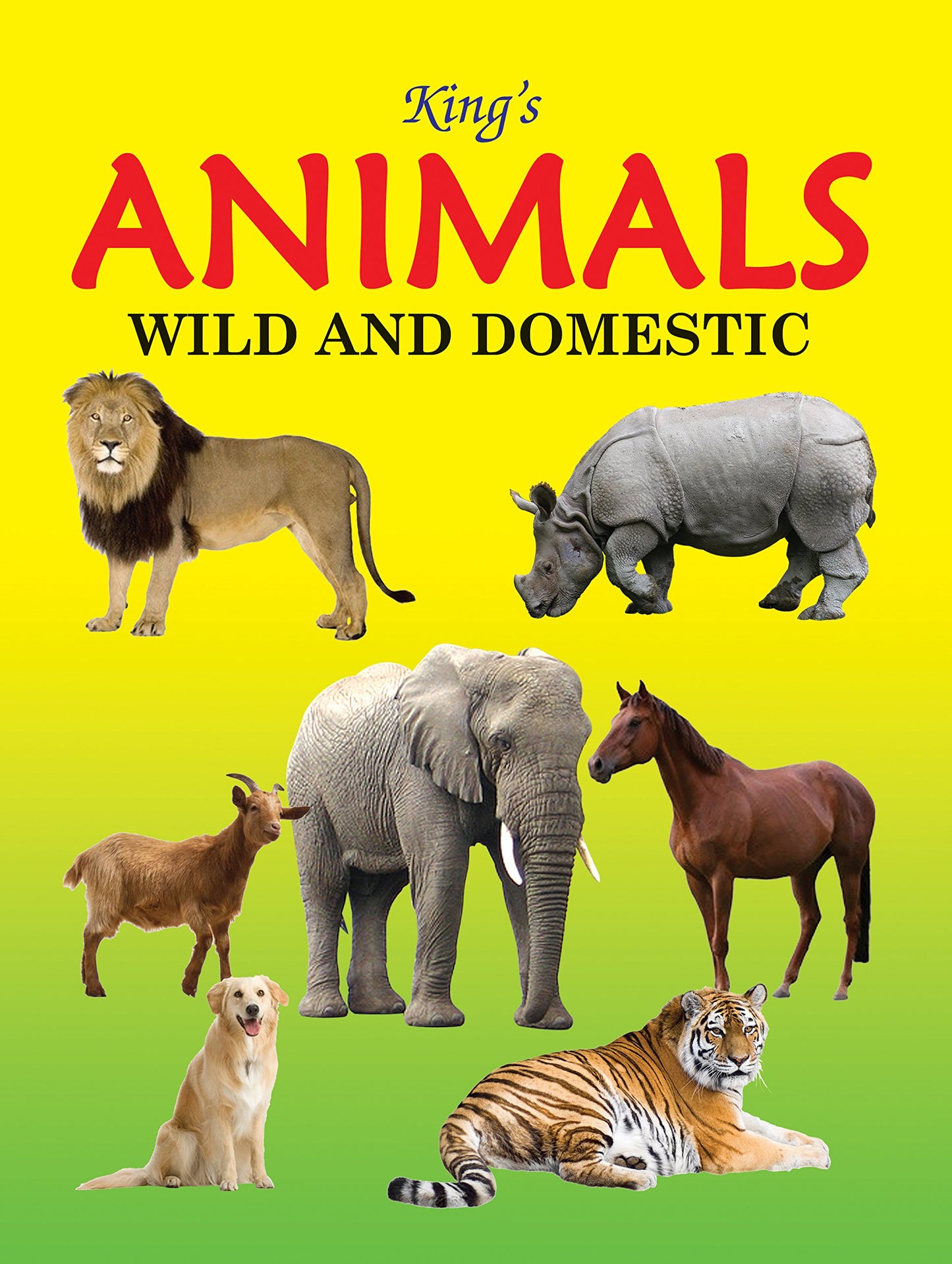 Animals Wild and Domestic