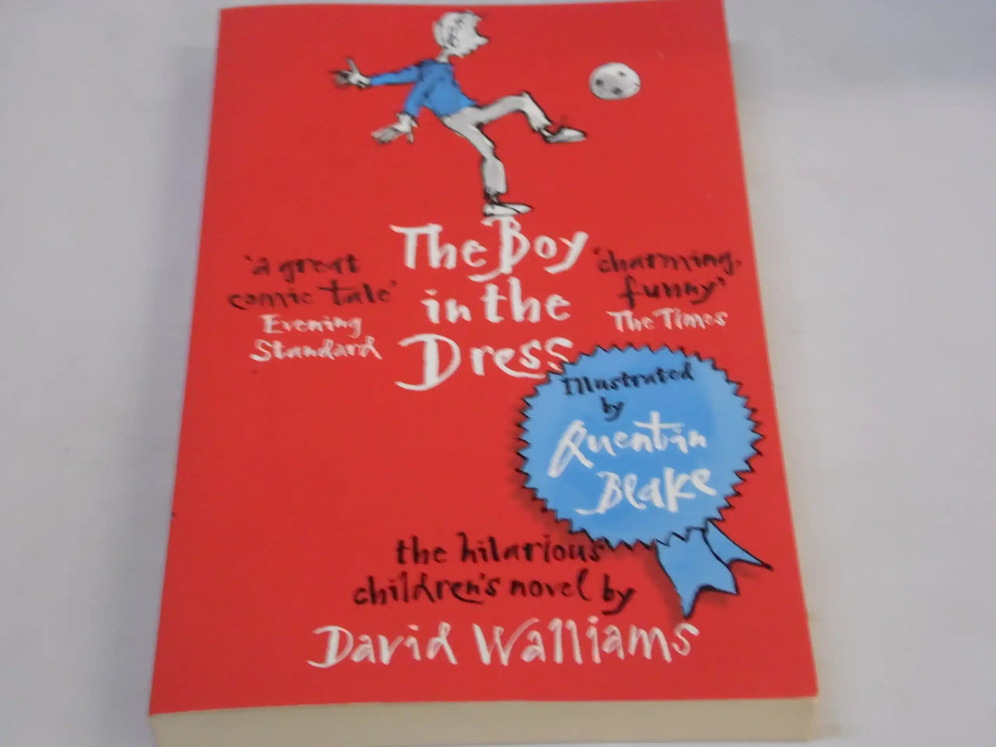 The Boy In The Dress