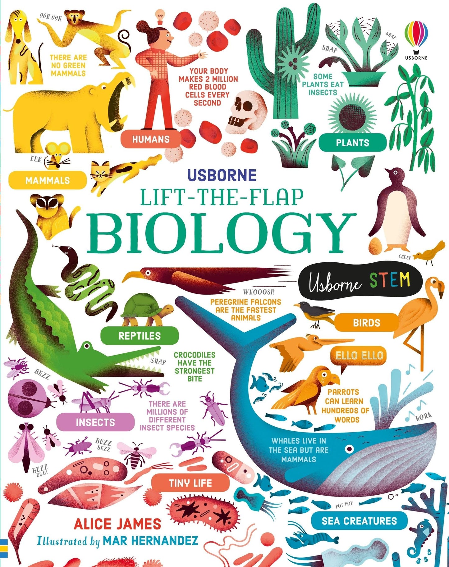 Ltf Biology