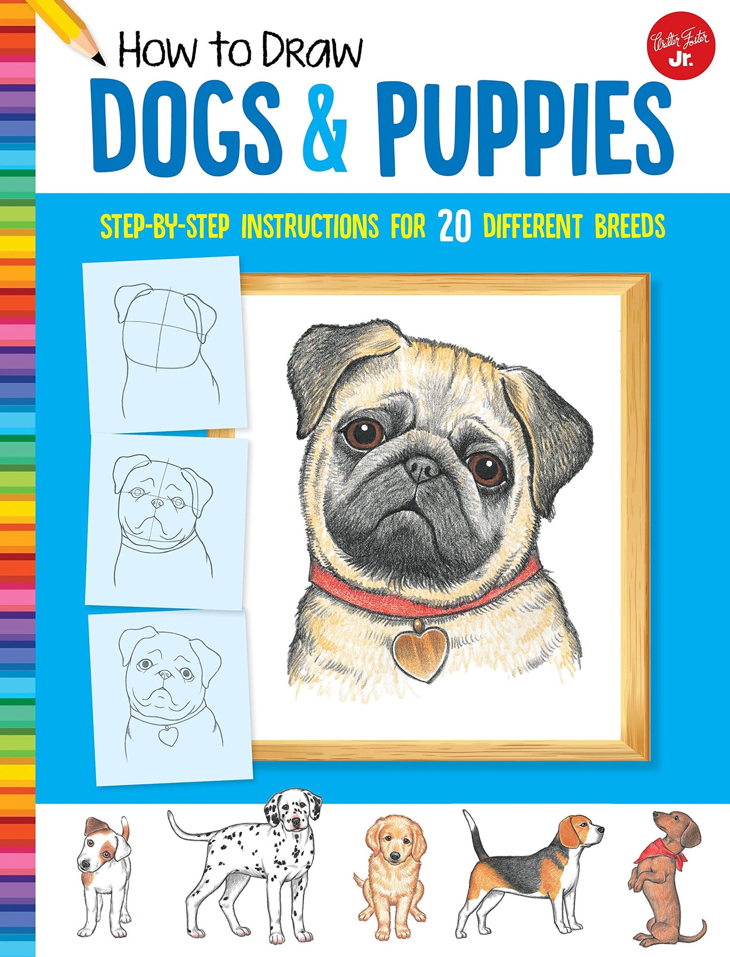 How To Draw Dogs & Puppies
