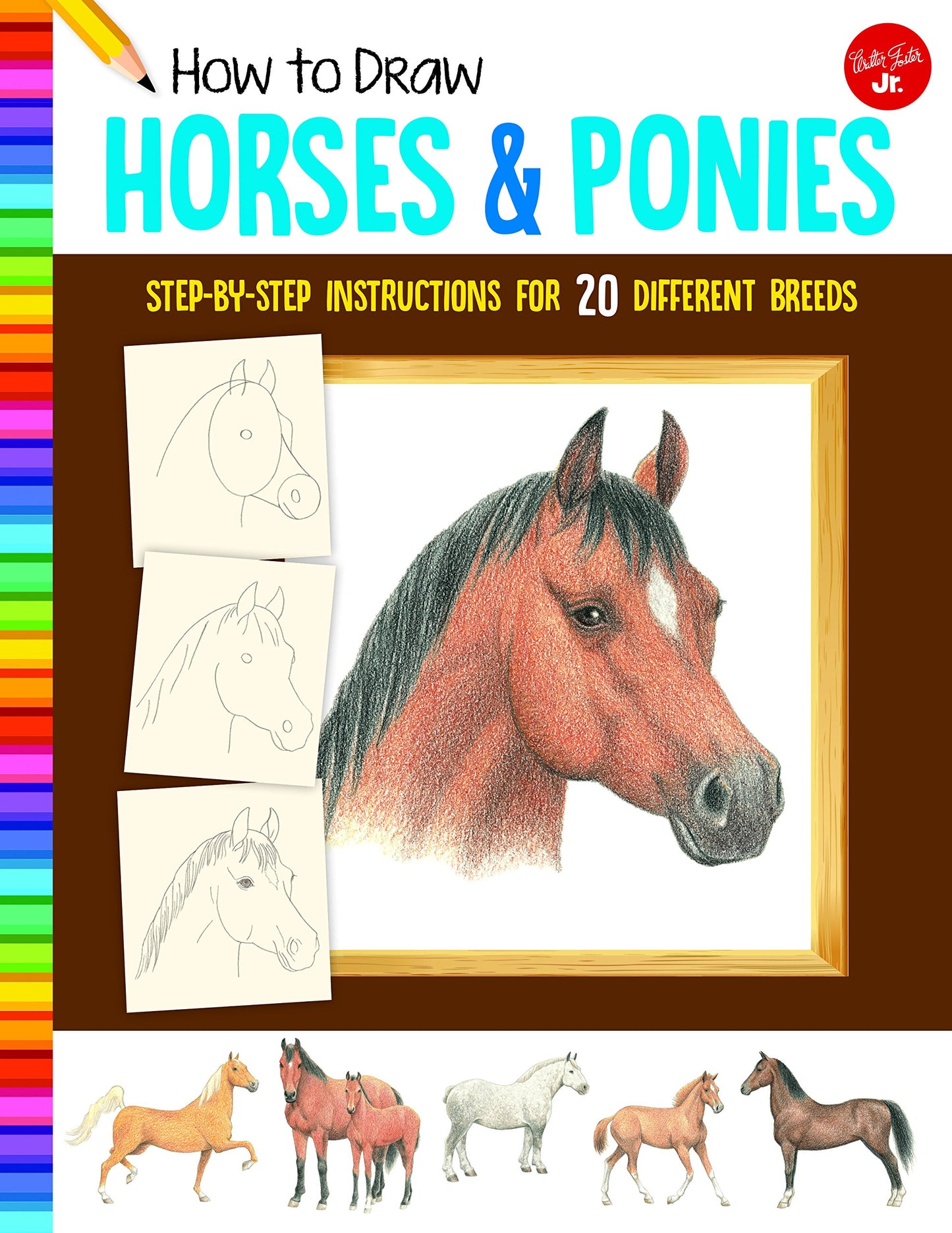 How To Draw Horses & Ponies