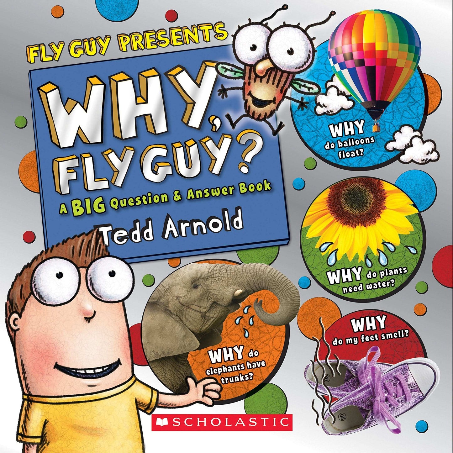 Why Fly Guy? A Big Question And Answer Book