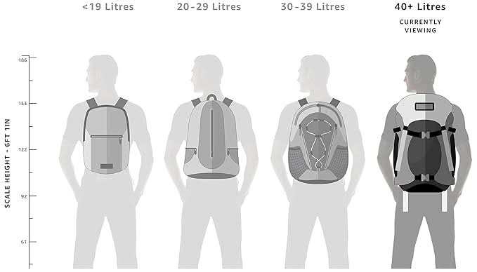 Wildcraft 45 Ltrs Grey and Orange Rucksack