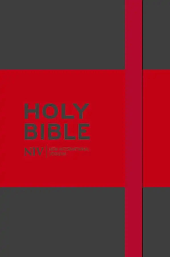 NIV Pocket Grey Notebook Bible