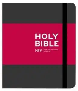 NIV Journalling Charcoal Cloth Bible