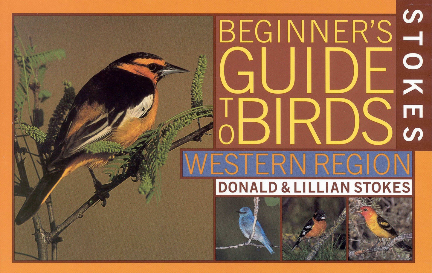 Stokes Beginner's Guide to Birds>