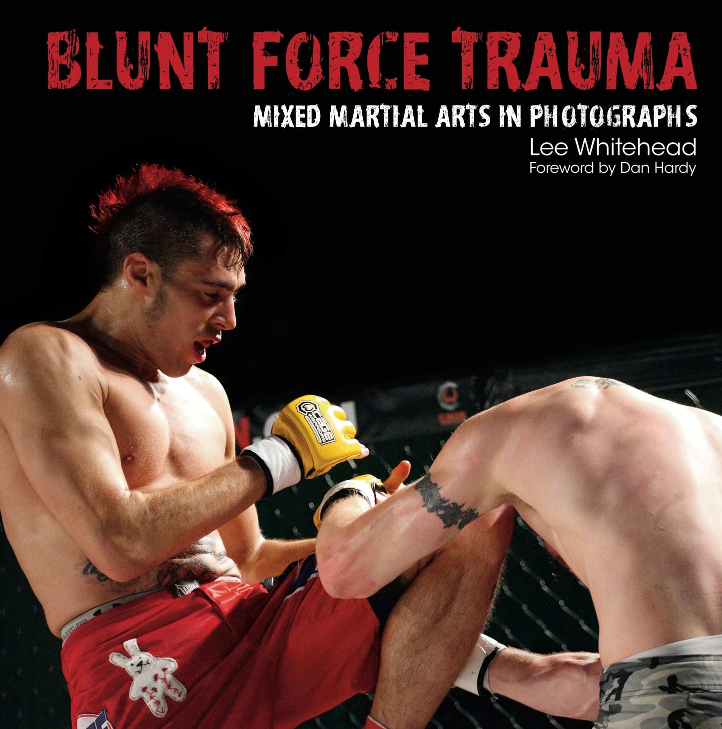 Blunt Force Trauma