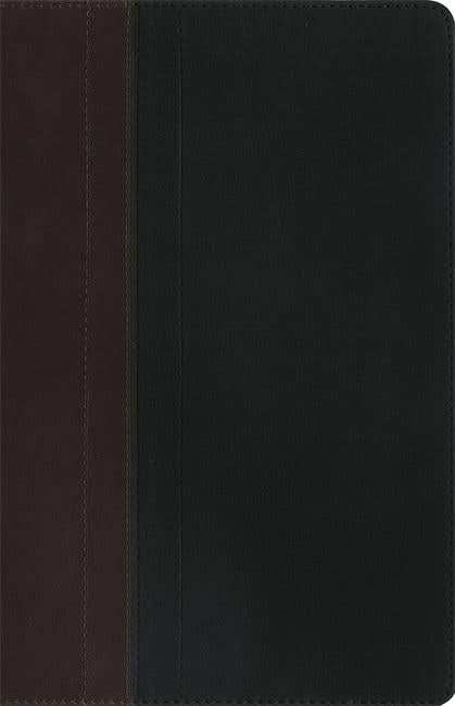 NIV Study Bible Brown/Tan Duo-Tone Personal Size