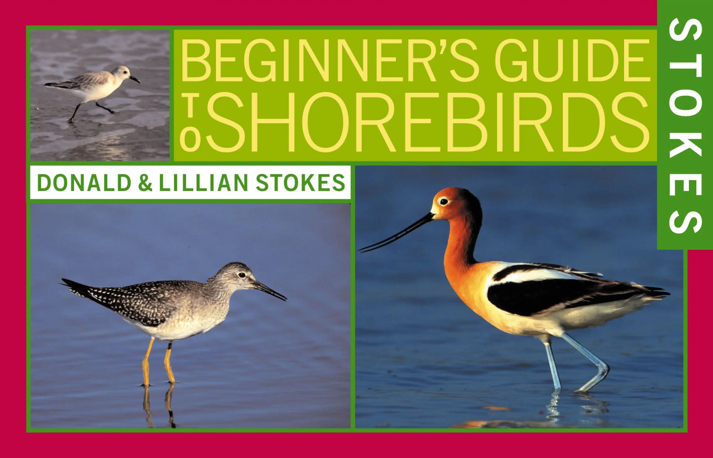 Stokes Beginner's Guide to Shorebirds>