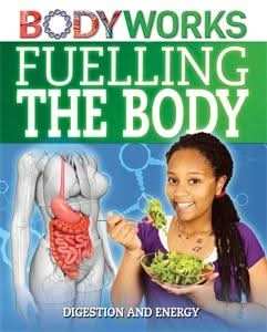 Fuelling the Body: Digestion and Energy