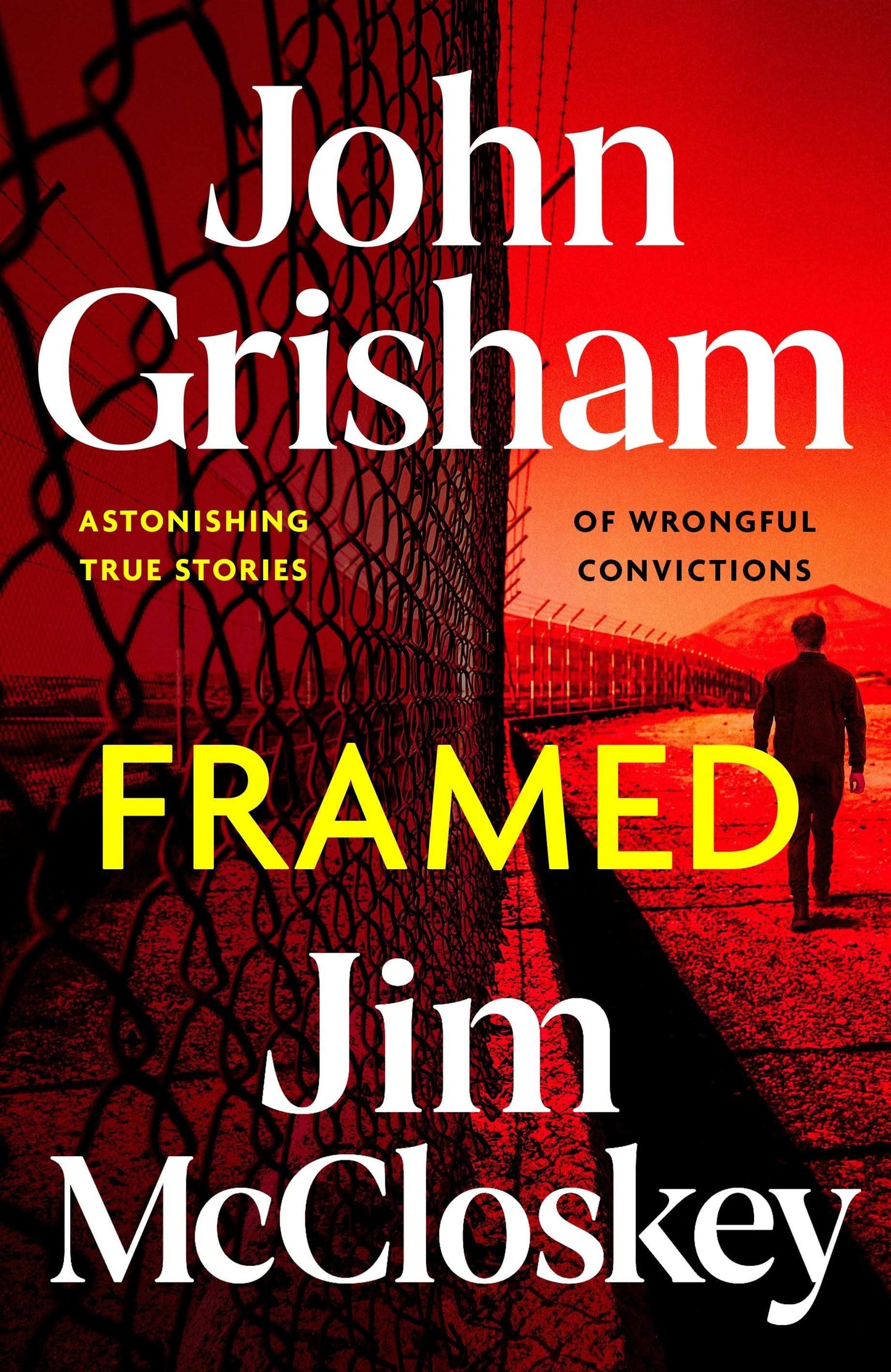 Framed: Ten True Stories of Wrongful Convictions