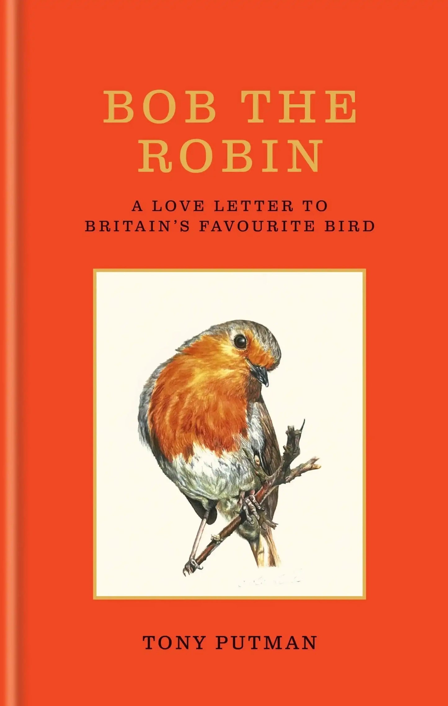 Bob the Robin:A love letter to Britains favourite bird