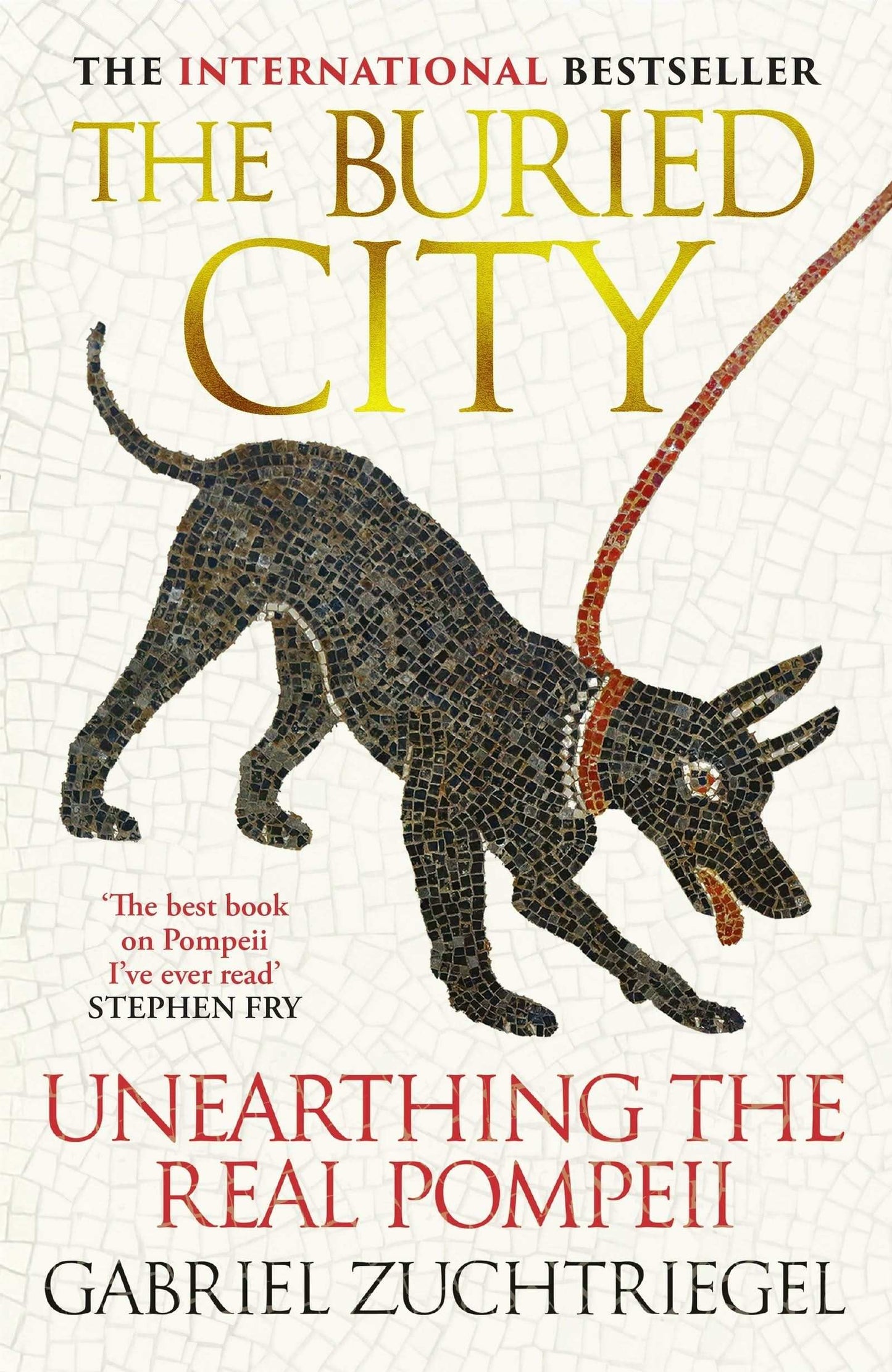 Buried City: Unearthing the Real Pompeii