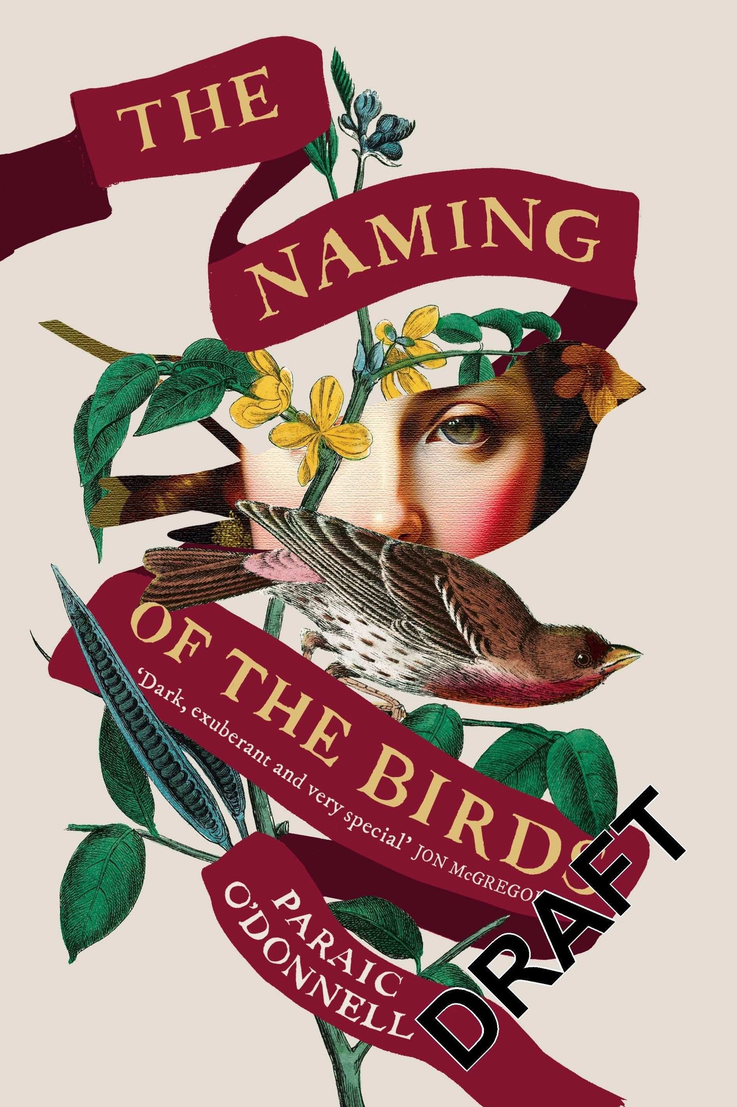 The Naming of the Birds