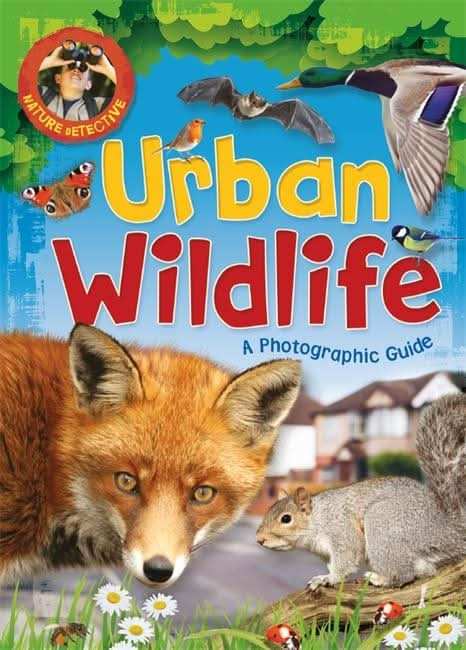 Urban Wildlife