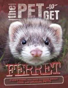 Ferret