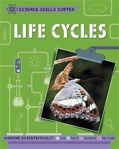 Life Cycles