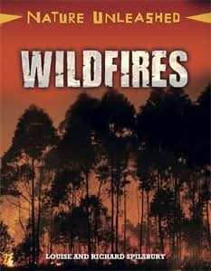 Wildfires