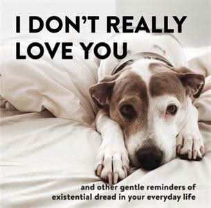 I Don't Really Love You>