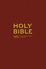 NIV Popular Burgundy Hardback Bible 20 copy pack
