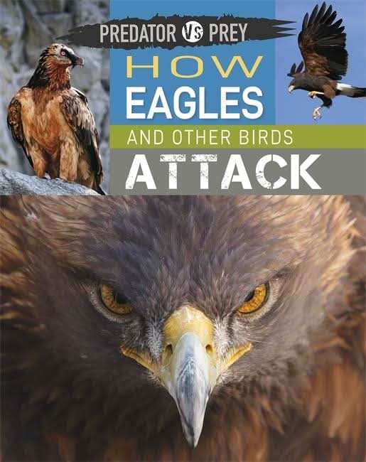 How Eagles and other Birds Attack
