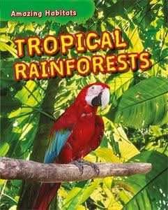 Tropical Rainforests