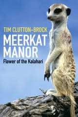 Meerkat Manor
