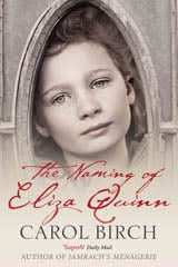 The Naming Of Eliza Quinn