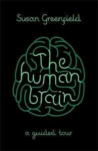 The Human Brain