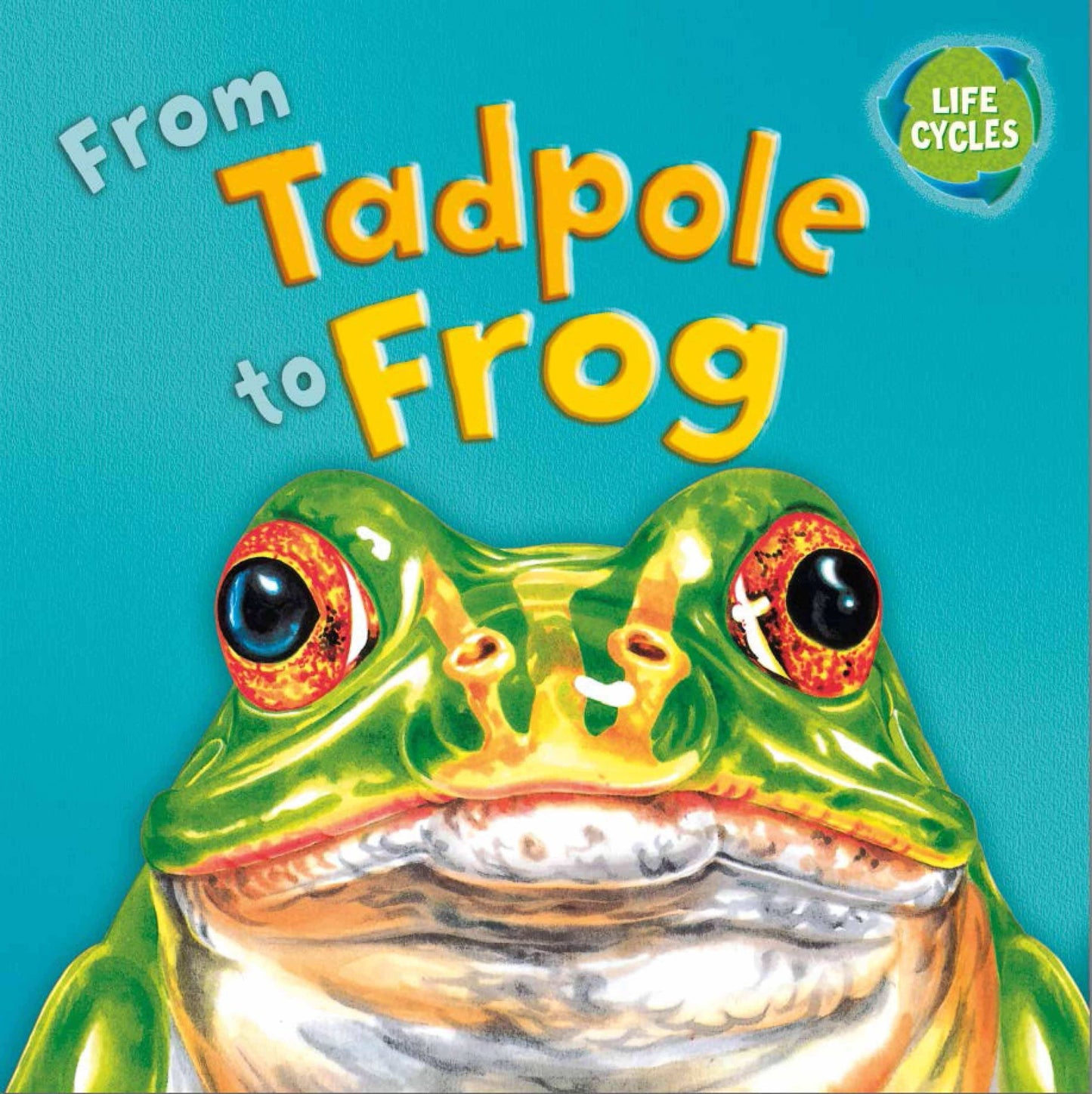 From Tadpole To Frog
