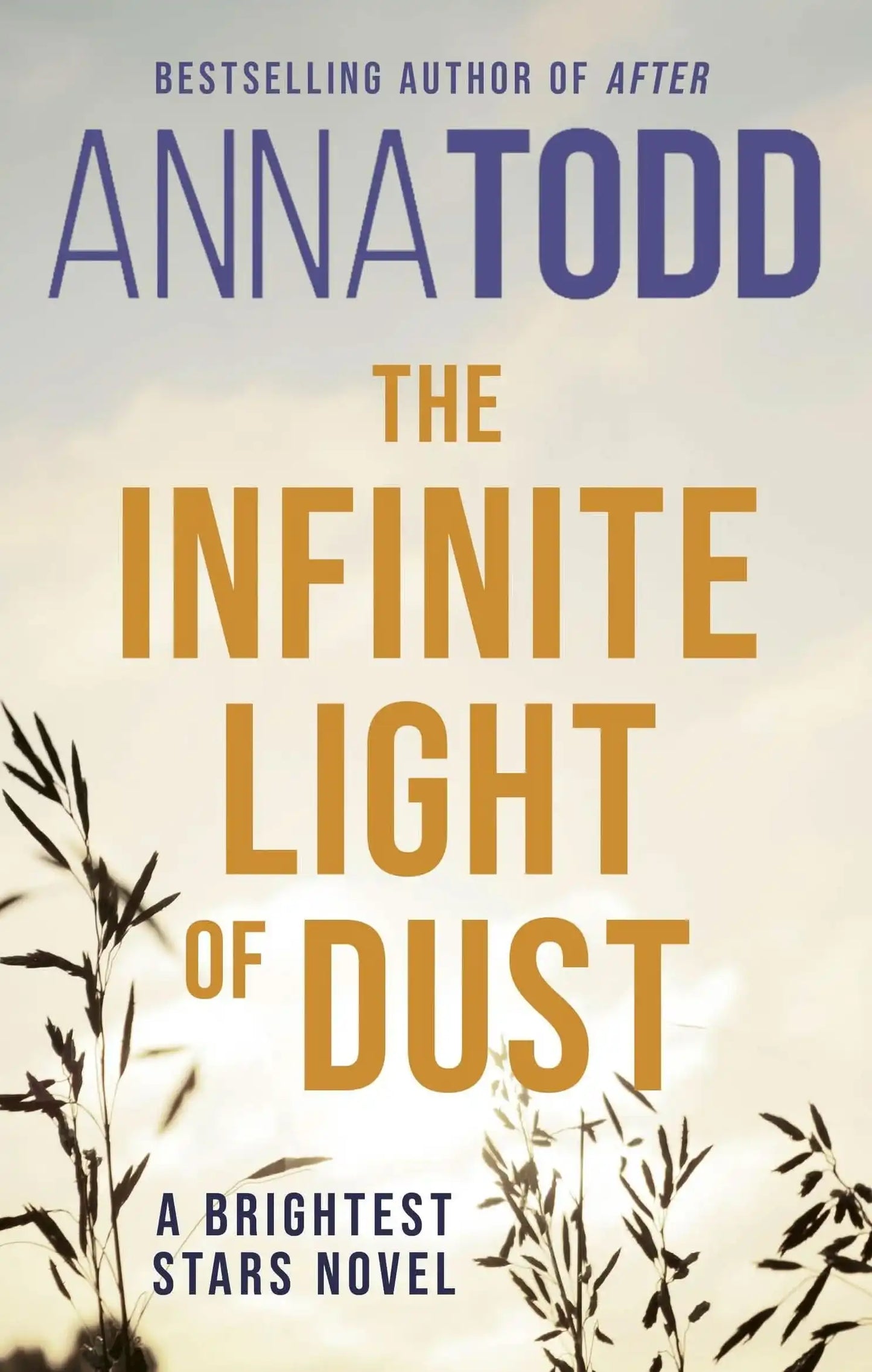 The Infinite Light of Dust:A Brightest Stars Novel
