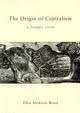 The Origin Of Capitalism: A Longer View