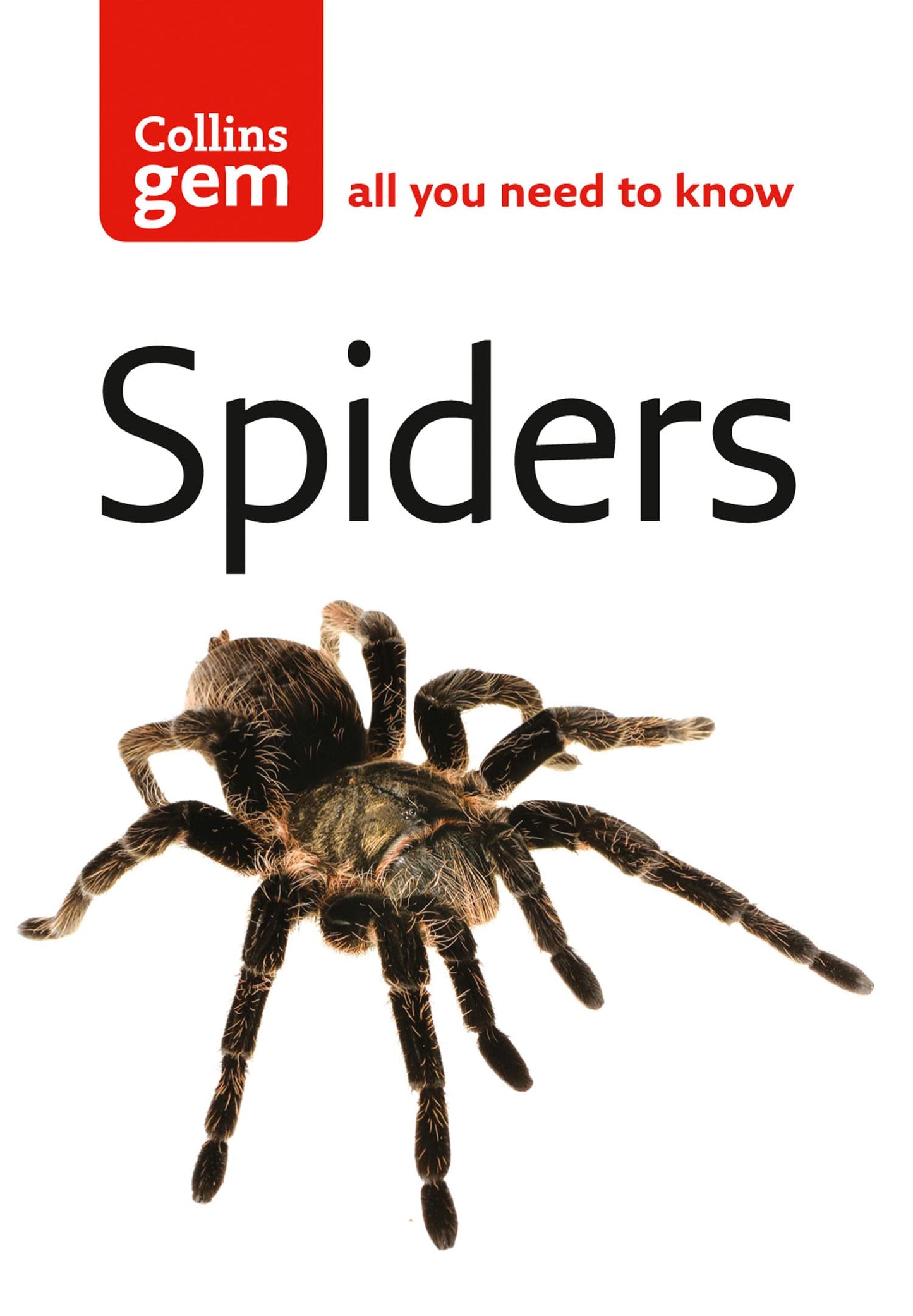 Collins Gem Spiders