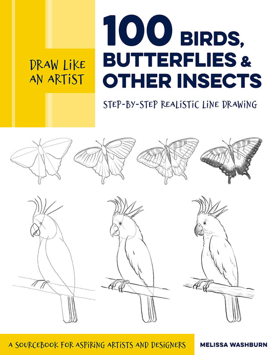 Draw Like An Artist: 100 Birds, Butterflies, And Other Insec