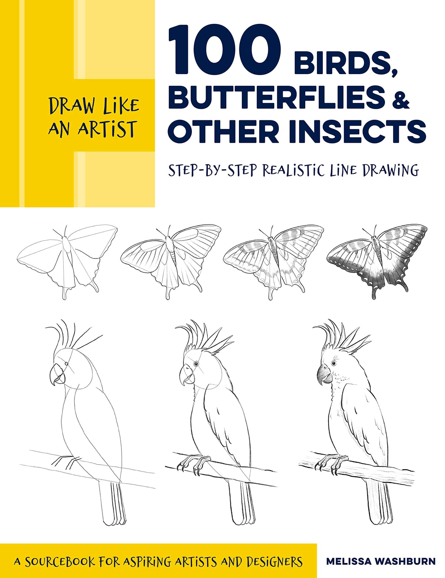 Draw Like An Artist: 100 Birds, Butterflies, And Other Insec
