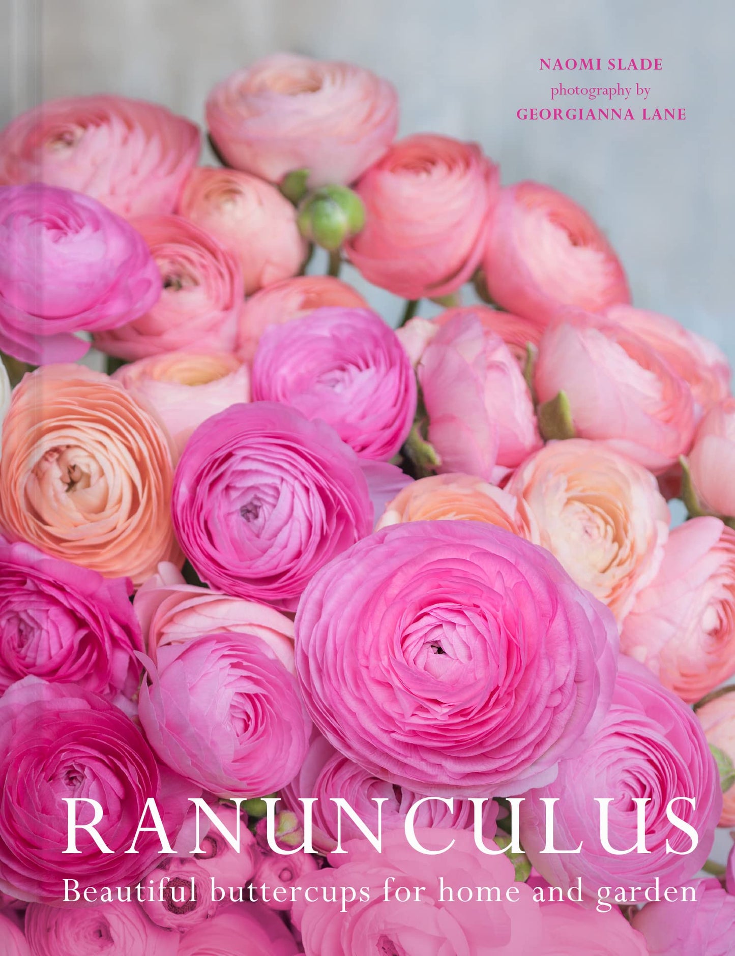 Ranunculus: Beautiful Buttercups For Home And Garden Ânot-Us