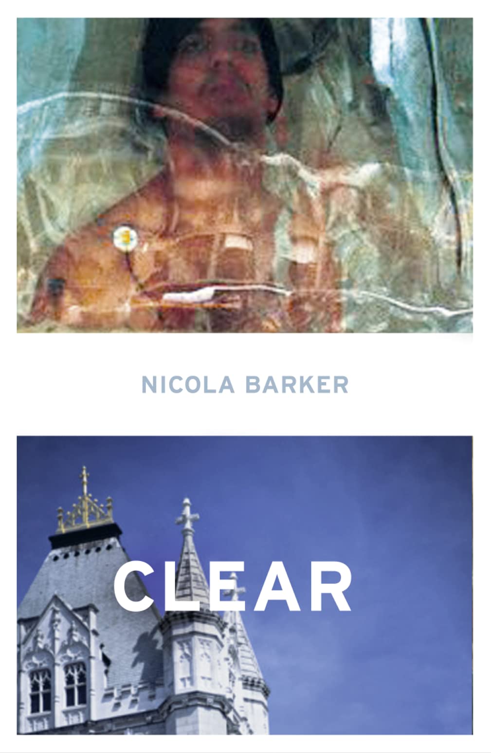 Clear A Transparent Novel