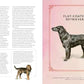Vintage Dogs