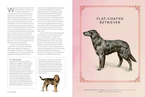 Vintage Dogs