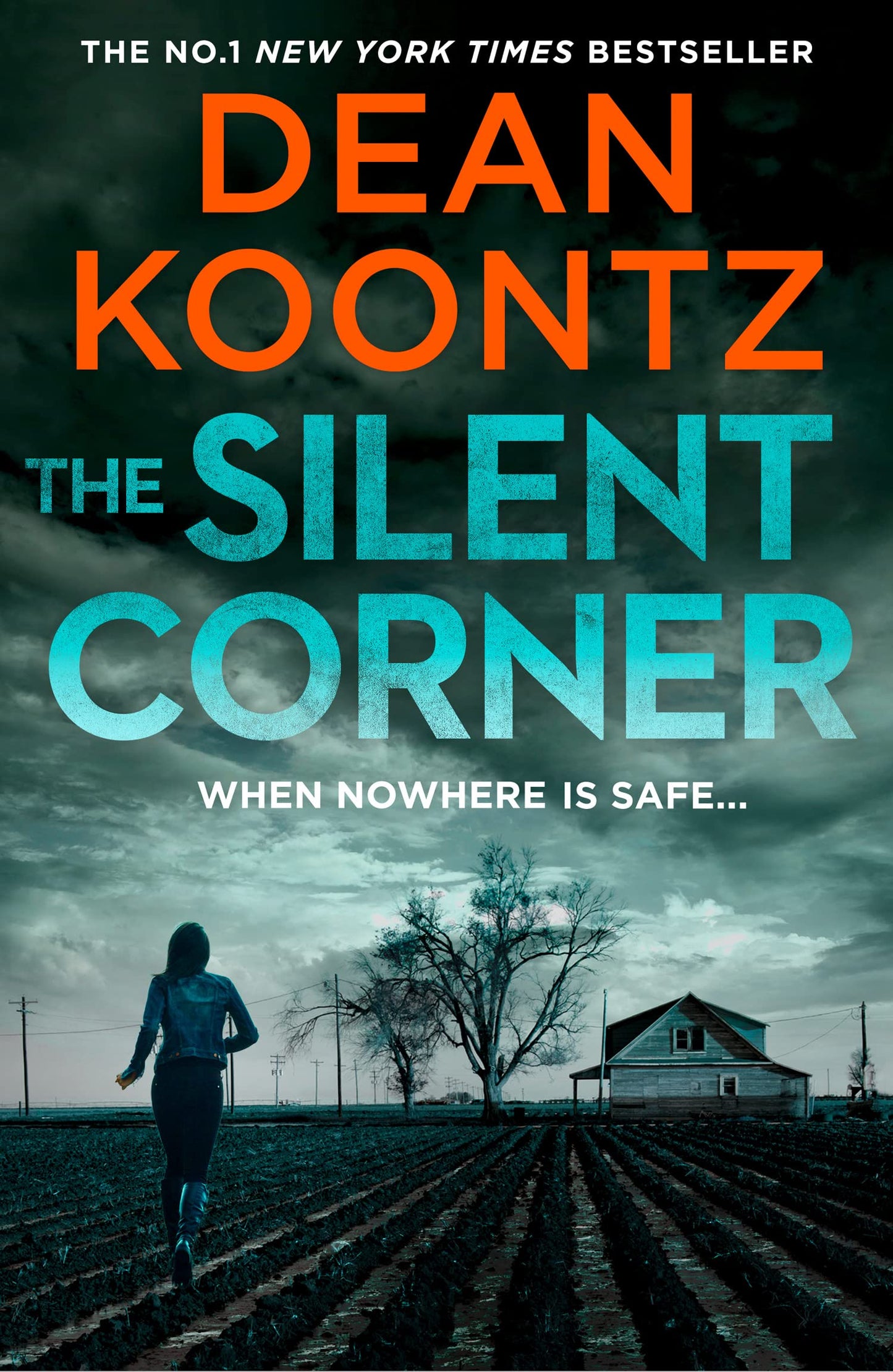 The Silent Corner - Jane Hawk Thriller (1)