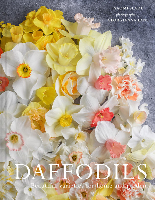 Daffodils: Beautiful Varieties For Home And Garden
