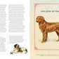 Vintage Dogs