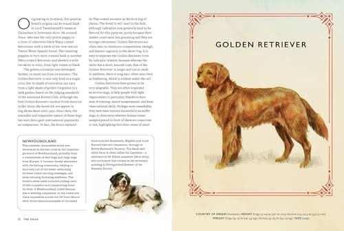Vintage Dogs