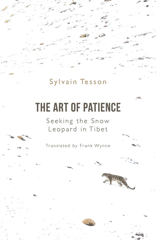 Art Of Patience, The