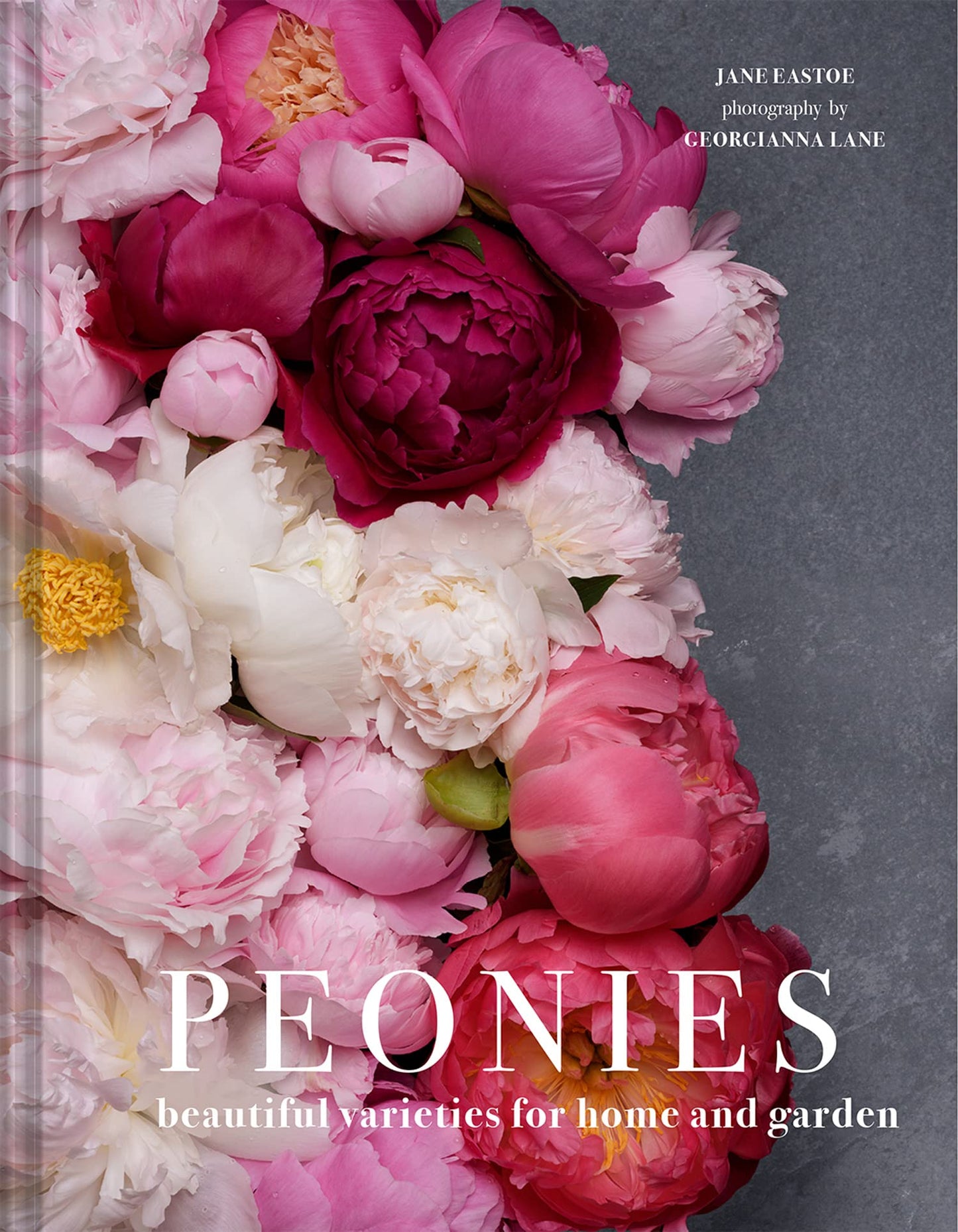 Peonies: Beautiful Varieties For Home And Garden