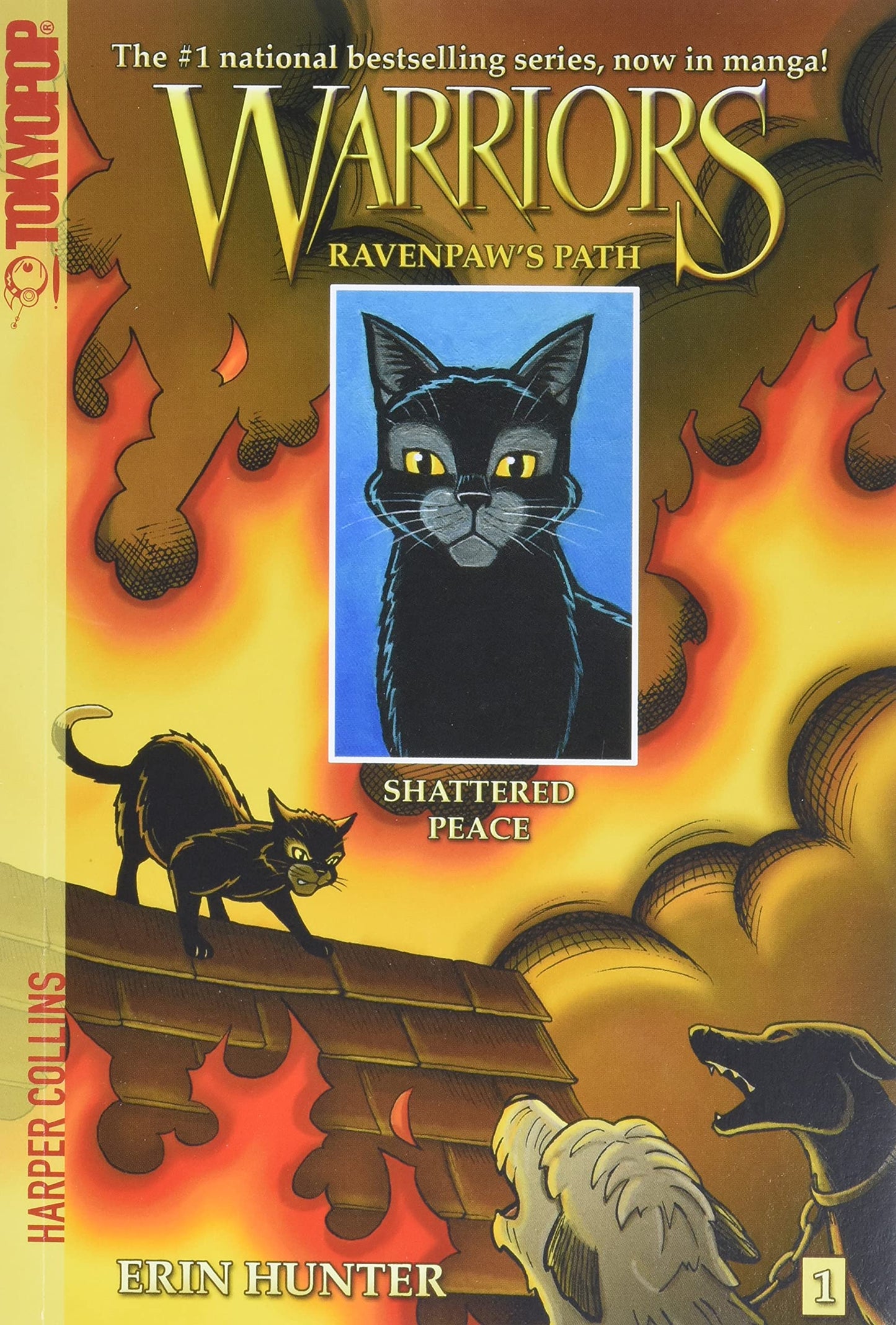 Warriors: Ravenpaw'S Path #1: Shattered Peace